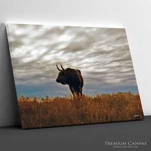 Longhorn bull canvas extra large western decor wall art by Debra Gail