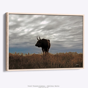 Natural wood framed longhorn bull canvas wall art Debra Gail