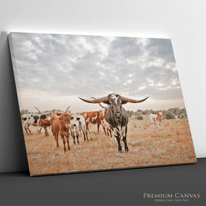 Longhorn Herd Western Wall Art Canvas | Wide Open Sky Texas Longhorns