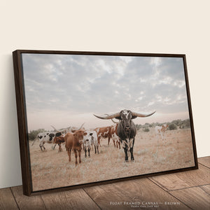 A framed canvas print leaning against a light wall on a wooden floor, showing a herd of longhorn cattle in a dry field under a cloudy sky. The frame is dark brown, and the text at the bottom reads 'FLOAT FRAMED CANVAS - BROWN'.