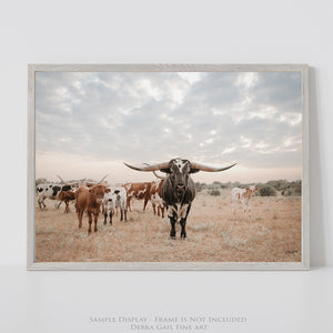 Longhorn Herd Western Wall Art Canvas | Wide Open Sky Texas Longhorns