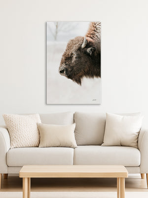 Buffalo fine art print – Great Plains wildlife wall decor by Debra Gail Fine Art