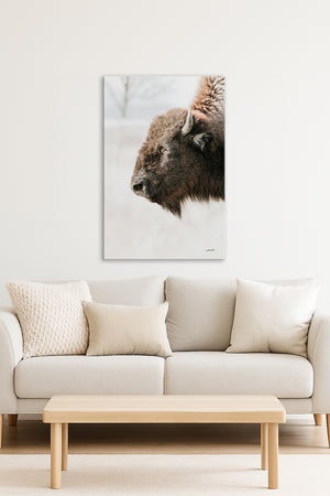 Buffalo fine art print – Great Plains wildlife wall decor by Debra Gail Fine Art