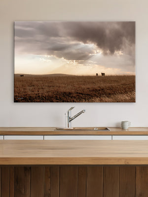 Black Angus cattle wall art – rustic Western photography print by Debra Gail Fine Art