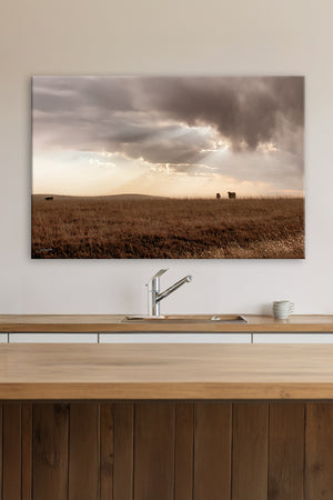 Black Angus cattle wall art – rustic Western photography print by Debra Gail Fine Art