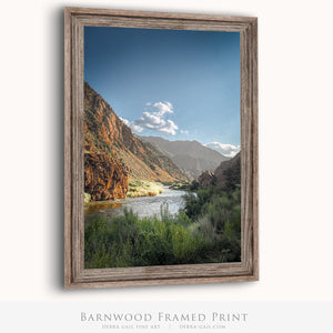 Vertical Mountain Stream Wall Art | Arkansas River Canyon Colorado