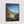 Vertical Mountain Stream Wall Art | Arkansas River Canyon Colorado