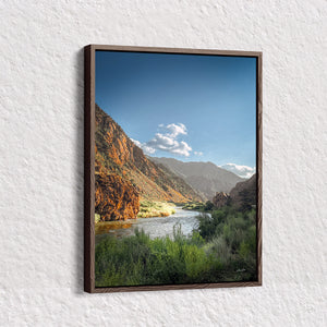 Vertical Mountain Stream Wall Art | Arkansas River Canyon Colorado