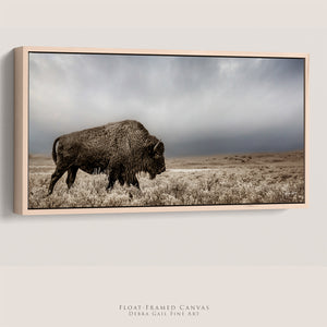 American Bison Wall Art | Wide Western Wildlife Canvas