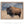Buffalo Wall Art - Rustic Bison Prairie Framed, Canvas, Barnwood Framed