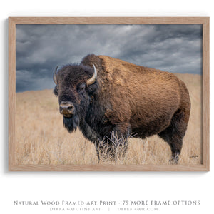 Buffalo Wall Art - Rustic Bison Prairie Framed, Canvas, Barnwood Framed