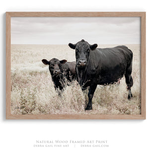 Black Angus cow calf wall art – fine art Western wildlife print by Debra Gail Fine Art