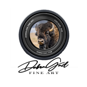 American Buffalo Wall Art - Rustic Bison Western Farmhouse Canvas Print