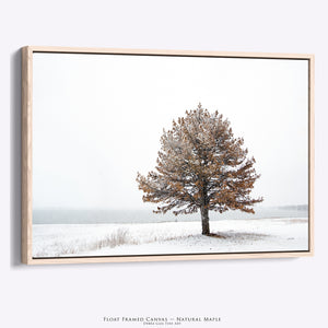 Winter Solitude | Flint Hills Kansas Landscape Wall Art