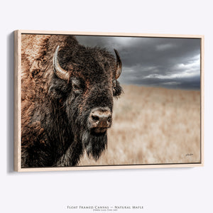 Bison Bull Close Up Photography | Rustic Buffalo Prairie Canvas Print