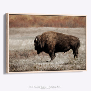 Rustic Bison Wall Art | Buffalo Canvas Print Western Farmhouse Decor