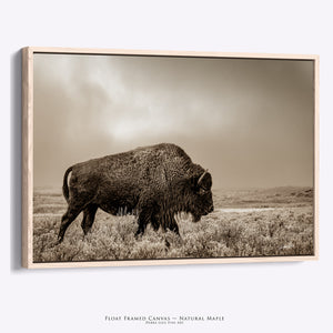 Bison Wall Art – Large Buffalo Canvas Print | Rustic Western Prairie Decor