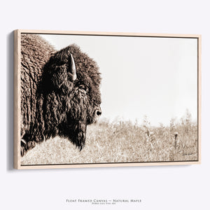 Neutral Bison Wall Art - Rustic Western Decor | Prairie Wildlife Canvas Print