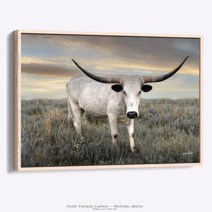 Texas Longhorn Prairie Wall Art | Modern Farmhouse Photography
