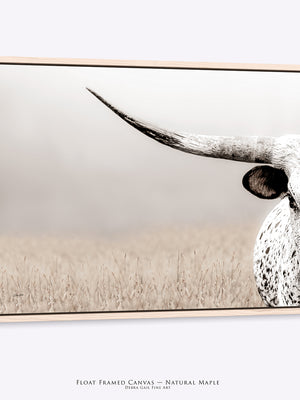 A framed wall art canvas by Debra Gail Fine Art of a close-up longhorn in a field