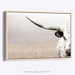 A framed wall art canvas by Debra Gail Fine Art of a close-up longhorn in a field