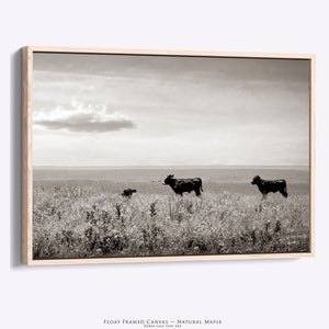 Black Angus Cattle Ranch Wall Art | Neutral Rustic Landscape Decor
