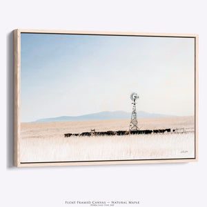 Black Angus Cow Wall Art | Prairie Cattle Canvas Print - Windmill Decor