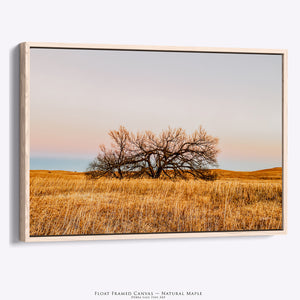Great Plains Fine Art | Kansas Flint Hills Western Prairie Photography 