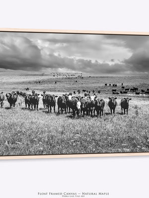 A framed black and white landscape photograph of a herd of cattle in an open field under a dramatic cloudy sky, shown as a floating canvas print in a light natural maple frame against a white background.