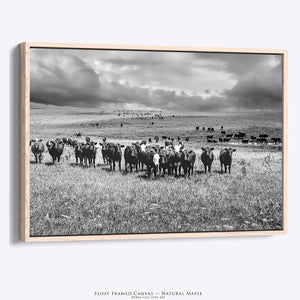 Black Angus Wall Art | Rustic Farmhouse Ranch Landscape