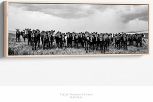Black Angus Wall Art | Panoramic Cattle Ranch Landscape