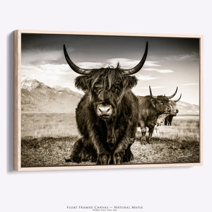 Highland Cow Wall Art - Rustic Farmhouse Decor | Highland Cattle Print