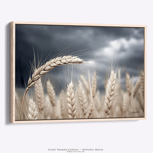 Kansas Wheat Field Wall Art | Great Plains Farm Photography