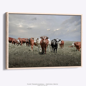 Cattle Art Print | Farmhouse Cattle Canvas - Rustic Farmhouse Wall Art Decor