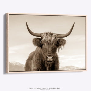 Highland Cow Wall Art | Sepia Portrait Photography