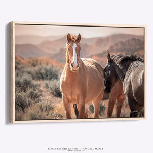 Wild Horses of the Pryor Mountains | Wild Horse Fine Art Photography
