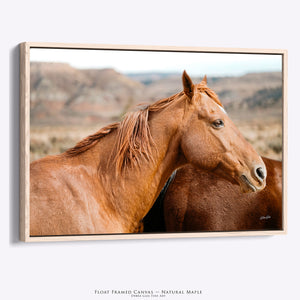 Western Horse Photography | Rustic Ranch Decor, Chestnut Horse Canvas Print