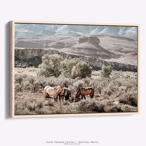 Wild Horses Photography | Heritage Pryor Mountain Horses Band