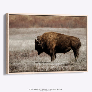 Rustic Bison Wall Art | Buffalo Canvas Print Western Farmhouse Decor