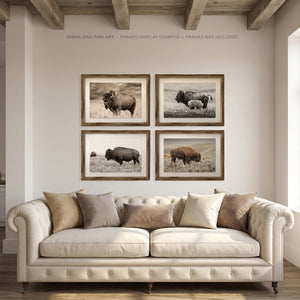 Bison Wall Art Photography — Set of 4
