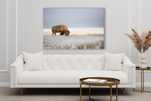 BISON ART PRINT or CANVAS - WINTER LANDSCAPE IN KANSAS