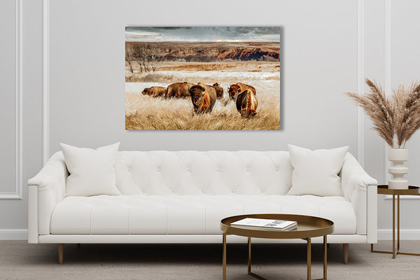 BISON HERD ON THE PLAINS - KANSAS ART PRINT