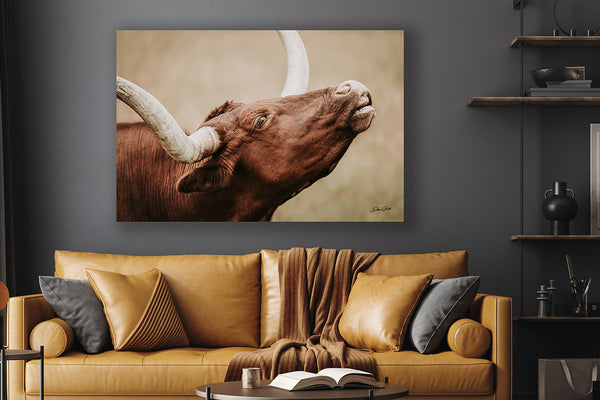 TEXAS LONGHORN CLOSEUP PICTURE - FARMHOUSE DECOR