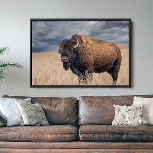 Buffalo Wall Art - Rustic Bison Prairie Framed, Canvas, Barnwood Framed