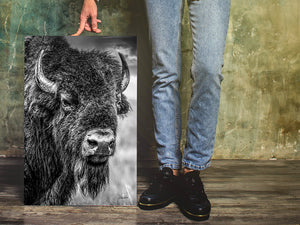Vertical Bison Canvas Wall Art | Western Black and White Wildlife