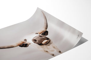 Texas Longhorn wall art – Western ranch photography print by Debra Gail Fine Art