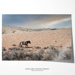 Wild Horse wall art – rustic Western fine art print by Debra Gail Fine Art