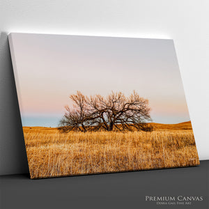 Great Plains Fine Art | Kansas Flint Hills Western Prairie Photography 