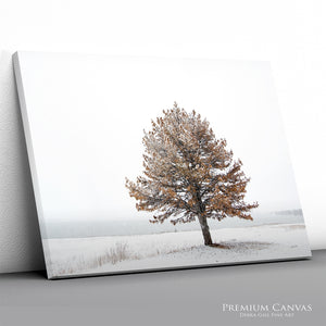 Winter Solitude | Flint Hills Kansas Landscape Wall Art
