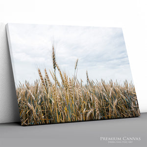 Great Plains Wheat Landscape Fine Art | Western Prairie Photography